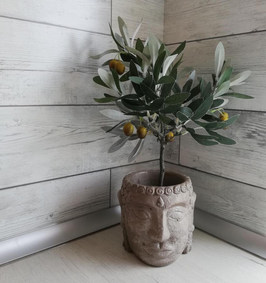 Casa Kalani Apartment Плая Хонда Екстериор снимка